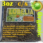 Te de Lobelia, Lobelia, Hojas de Lobelia, Hierba del asma : Lobelia leaf, Lobelia inflata, Lobelia herb